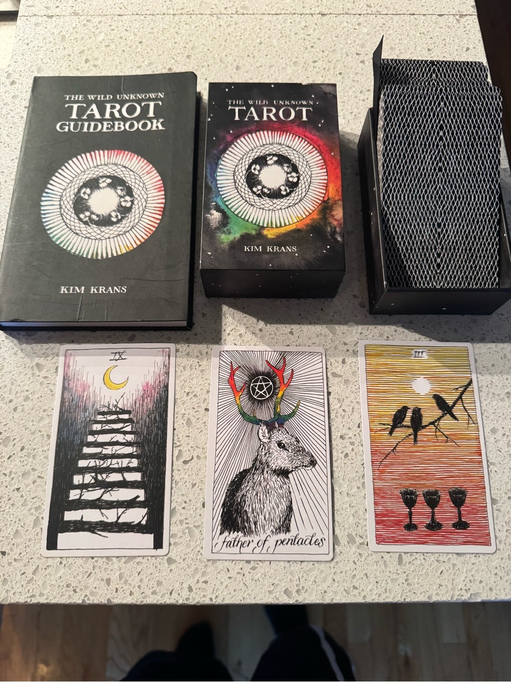 The Wild Unknown Tarot Deck & Guidebook — Black with Rainbow Accents
